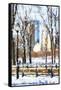 Winter in Central Park VI - In the Style of Oil Painting-Philippe Hugonnard-Framed Stretched Canvas