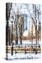 Winter in Central Park VI - In the Style of Oil Painting-Philippe Hugonnard-Stretched Canvas