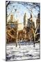 Winter in Central Park VIII - In the Style of Oil Painting-Philippe Hugonnard-Mounted Giclee Print