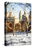 Winter in Central Park VIII - In the Style of Oil Painting-Philippe Hugonnard-Stretched Canvas