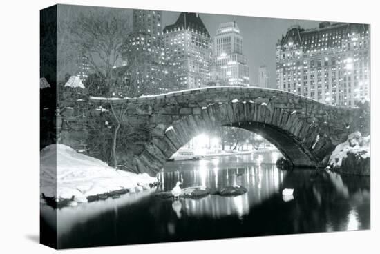 Winter in Central Park-null-Stretched Canvas