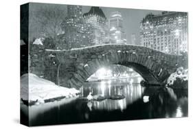 Winter in Central Park-null-Stretched Canvas