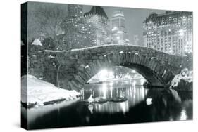 Winter in Central Park-null-Stretched Canvas