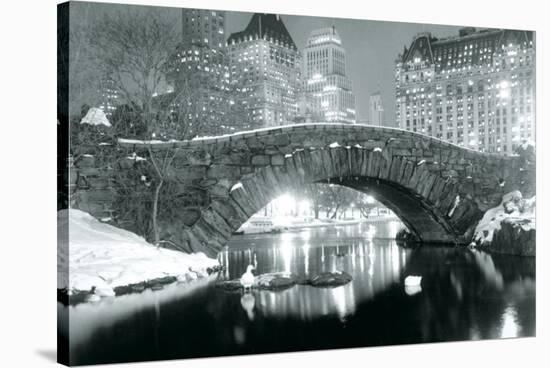 Winter in Central Park-null-Stretched Canvas