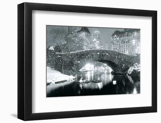 Winter in Central Park-null-Framed Art Print