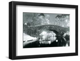 Winter in Central Park-null-Framed Art Print