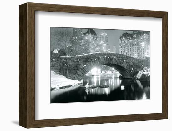 Winter in Central Park-null-Framed Art Print