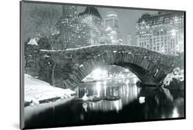 Winter in Central Park-null-Mounted Art Print