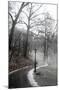 Winter In Central Park-Trends International-Mounted Poster