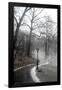 Winter In Central Park-Trends International-Framed Poster