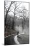 Winter In Central Park-Trends International-Mounted Poster