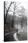 Winter In Central Park-Trends International-Stretched Canvas