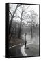 Winter In Central Park-Trends International-Framed Stretched Canvas