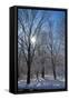 Winter in Eagle Creek Park, Indianapolis, Indiana, USA-Anna Miller-Framed Stretched Canvas