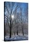 Winter in Eagle Creek Park, Indianapolis, Indiana, USA-Anna Miller-Stretched Canvas