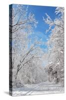 Winter in Eagle Creek Park, Indianapolis, Indiana, USA-Anna Miller-Stretched Canvas