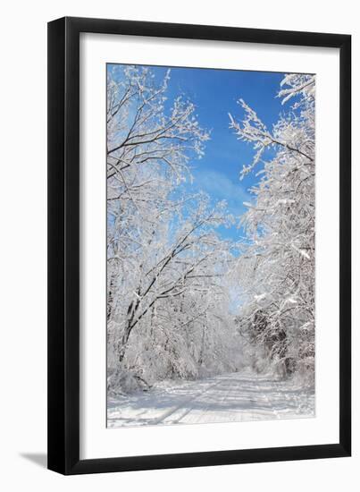 Winter in Eagle Creek Park, Indianapolis, Indiana, USA-Anna Miller-Framed Premium Photographic Print