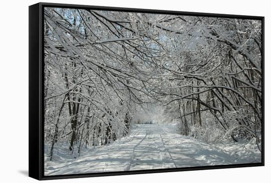 Winter in Eagle Creek Park, Indianapolis, Indiana, USA-Anna Miller-Framed Stretched Canvas