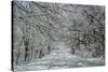 Winter in Eagle Creek Park, Indianapolis, Indiana, USA-Anna Miller-Stretched Canvas