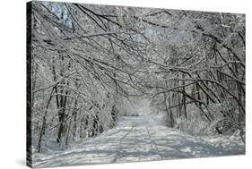 Winter in Eagle Creek Park, Indianapolis, Indiana, USA-Anna Miller-Stretched Canvas