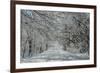 Winter in Eagle Creek Park, Indianapolis, Indiana, USA-Anna Miller-Framed Photographic Print