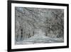 Winter in Eagle Creek Park, Indianapolis, Indiana, USA-Anna Miller-Framed Photographic Print