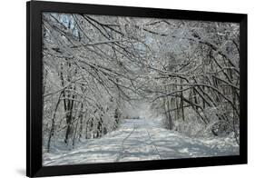 Winter in Eagle Creek Park, Indianapolis, Indiana, USA-Anna Miller-Framed Photographic Print