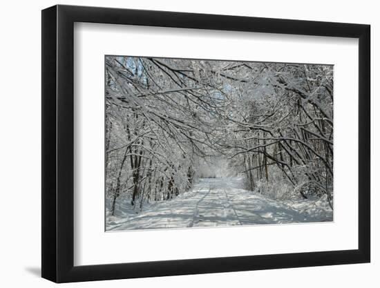 Winter in Eagle Creek Park, Indianapolis, Indiana, USA-Anna Miller-Framed Photographic Print