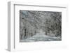 Winter in Eagle Creek Park, Indianapolis, Indiana, USA-Anna Miller-Framed Photographic Print