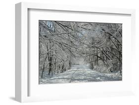 Winter in Eagle Creek Park, Indianapolis, Indiana, USA-Anna Miller-Framed Photographic Print