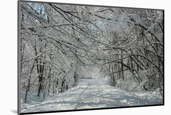 Winter in Eagle Creek Park, Indianapolis, Indiana, USA-Anna Miller-Mounted Photographic Print