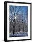 Winter in Eagle Creek Park, Indianapolis, Indiana, USA-Anna Miller-Framed Photographic Print