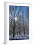 Winter in Eagle Creek Park, Indianapolis, Indiana, USA-Anna Miller-Framed Photographic Print