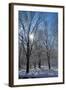 Winter in Eagle Creek Park, Indianapolis, Indiana, USA-Anna Miller-Framed Photographic Print