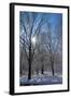 Winter in Eagle Creek Park, Indianapolis, Indiana, USA-Anna Miller-Framed Photographic Print