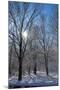 Winter in Eagle Creek Park, Indianapolis, Indiana, USA-Anna Miller-Mounted Photographic Print