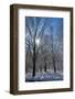 Winter in Eagle Creek Park, Indianapolis, Indiana, USA-Anna Miller-Framed Photographic Print