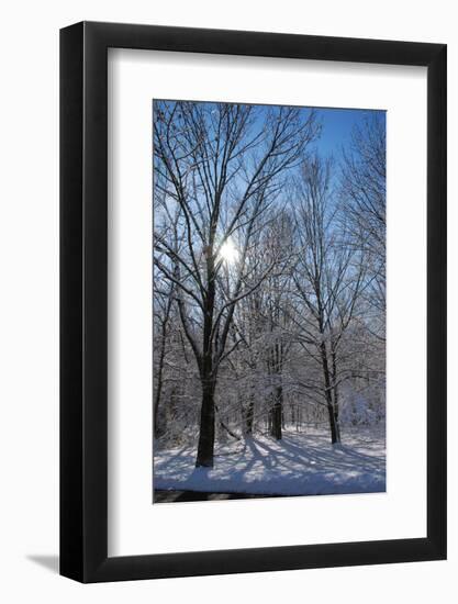 Winter in Eagle Creek Park, Indianapolis, Indiana, USA-Anna Miller-Framed Photographic Print