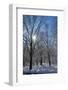 Winter in Eagle Creek Park, Indianapolis, Indiana, USA-Anna Miller-Framed Photographic Print