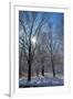 Winter in Eagle Creek Park, Indianapolis, Indiana, USA-Anna Miller-Framed Photographic Print