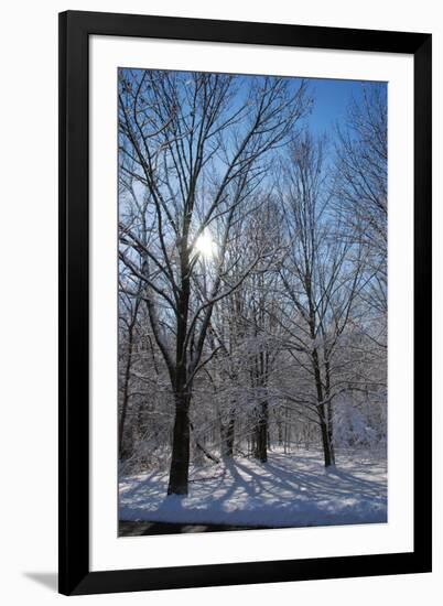 Winter in Eagle Creek Park, Indianapolis, Indiana, USA-Anna Miller-Framed Photographic Print