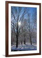 Winter in Eagle Creek Park, Indianapolis, Indiana, USA-Anna Miller-Framed Photographic Print