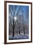 Winter in Eagle Creek Park, Indianapolis, Indiana, USA-Anna Miller-Framed Photographic Print