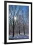 Winter in Eagle Creek Park, Indianapolis, Indiana, USA-Anna Miller-Framed Photographic Print