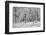 Winter in Eagle Creek Park, Indianapolis, Indiana, USA-Anna Miller-Framed Photographic Print