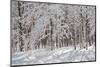 Winter in Eagle Creek Park, Indianapolis, Indiana, USA-Anna Miller-Mounted Photographic Print