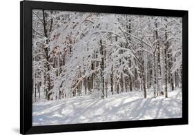 Winter in Eagle Creek Park, Indianapolis, Indiana, USA-Anna Miller-Framed Photographic Print