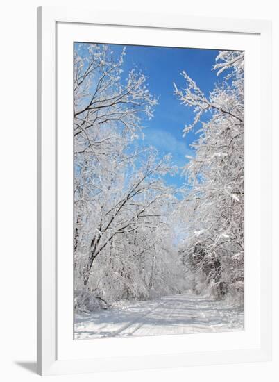 Winter in Eagle Creek Park, Indianapolis, Indiana, USA-Anna Miller-Framed Photographic Print