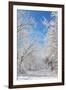 Winter in Eagle Creek Park, Indianapolis, Indiana, USA-Anna Miller-Framed Photographic Print