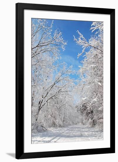 Winter in Eagle Creek Park, Indianapolis, Indiana, USA-Anna Miller-Framed Photographic Print